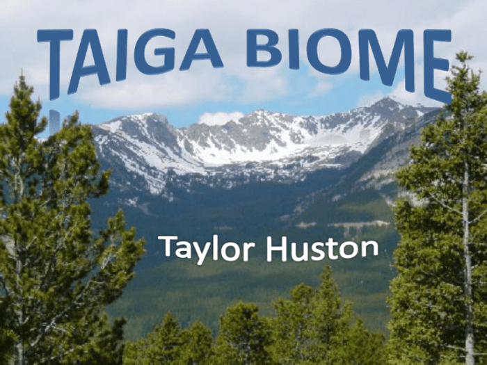 Taiga biome