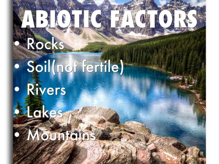 Abiotic features of the taiga