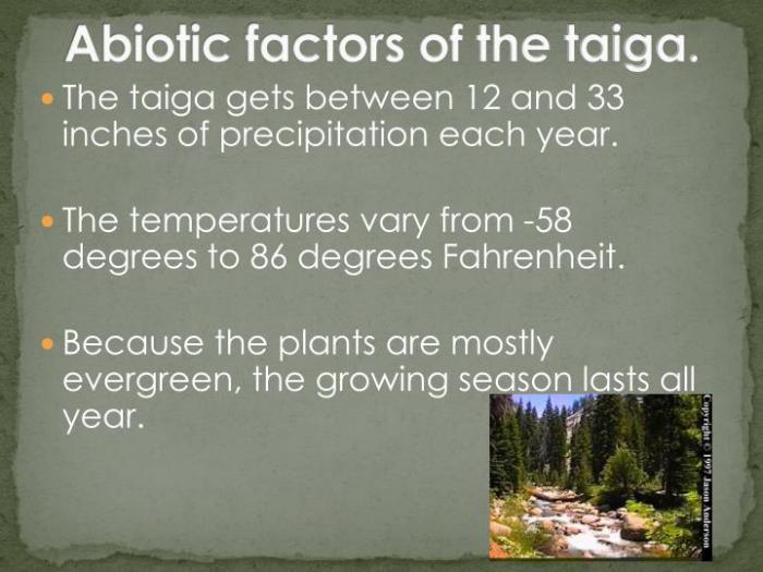 Abiotic features of the taiga