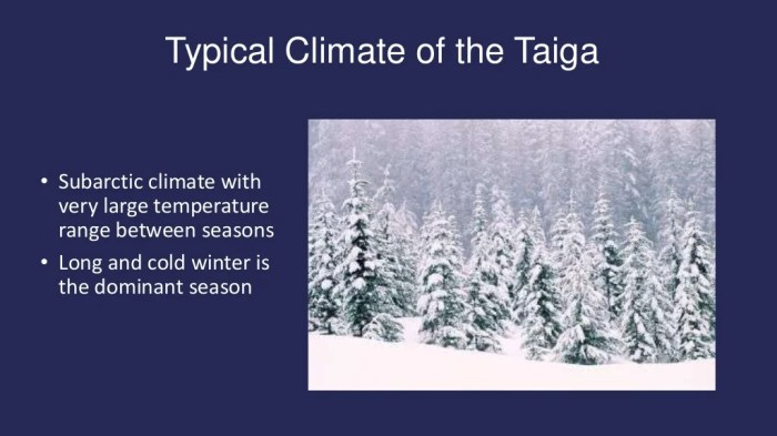 Taiga biotic abiotic forests features