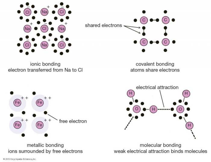 Chemical bonding and reactions close reading assignment